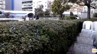 刚刚更新AV蜜桃网